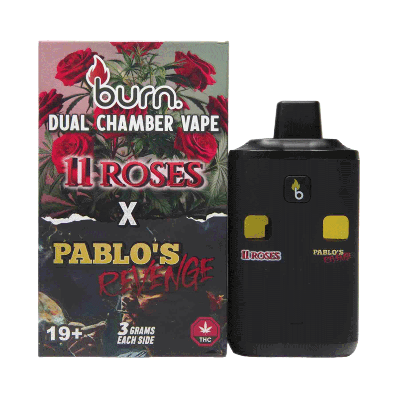 Burn Dual Chamber Vape 6G
