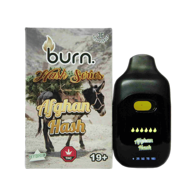 Burn 3g THC Disposable Vape