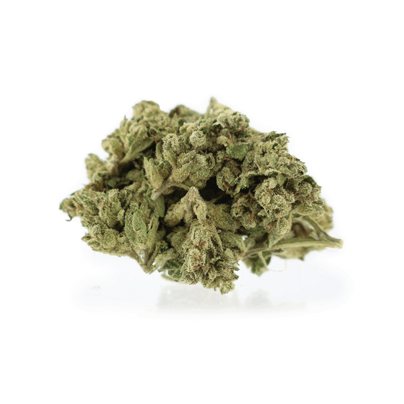 Forbidden Dream 3oz for $100, Flower, 17-20% THC — product photo
