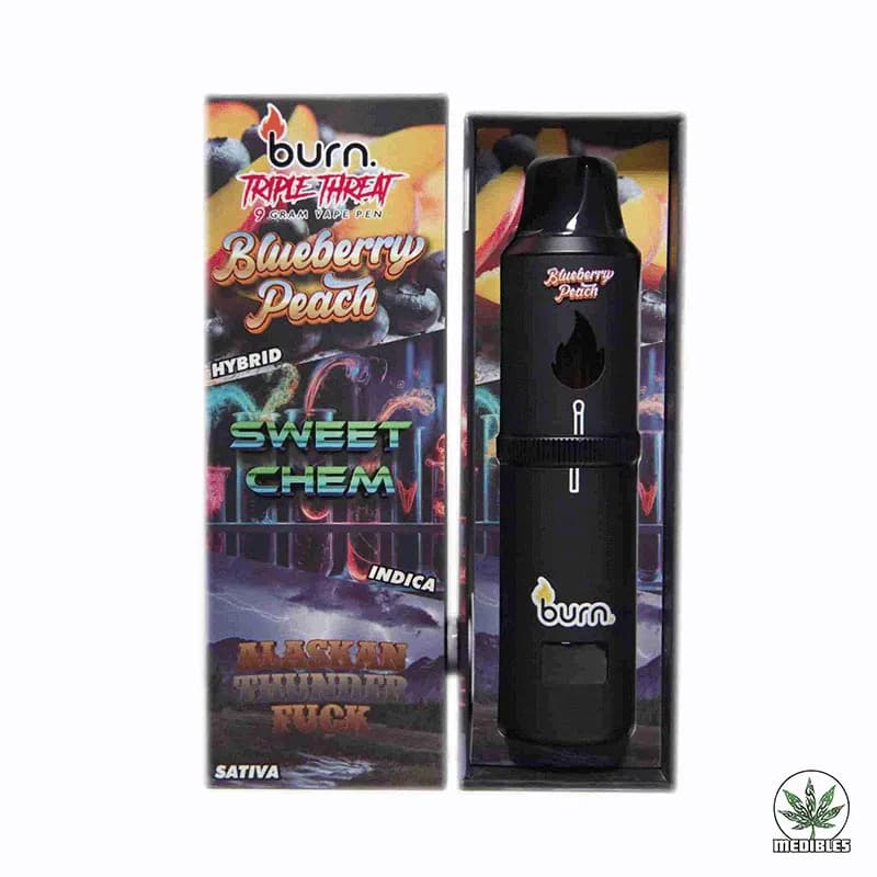 Burn 9g Disposable THC Vape