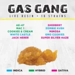 Gas Gang Live Resin