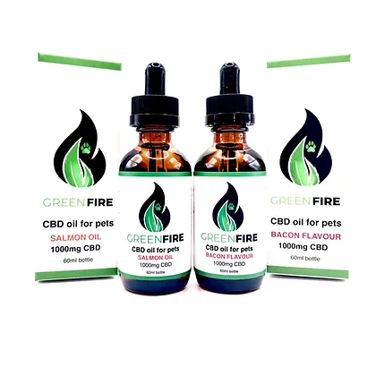 CBD Oil for Pets