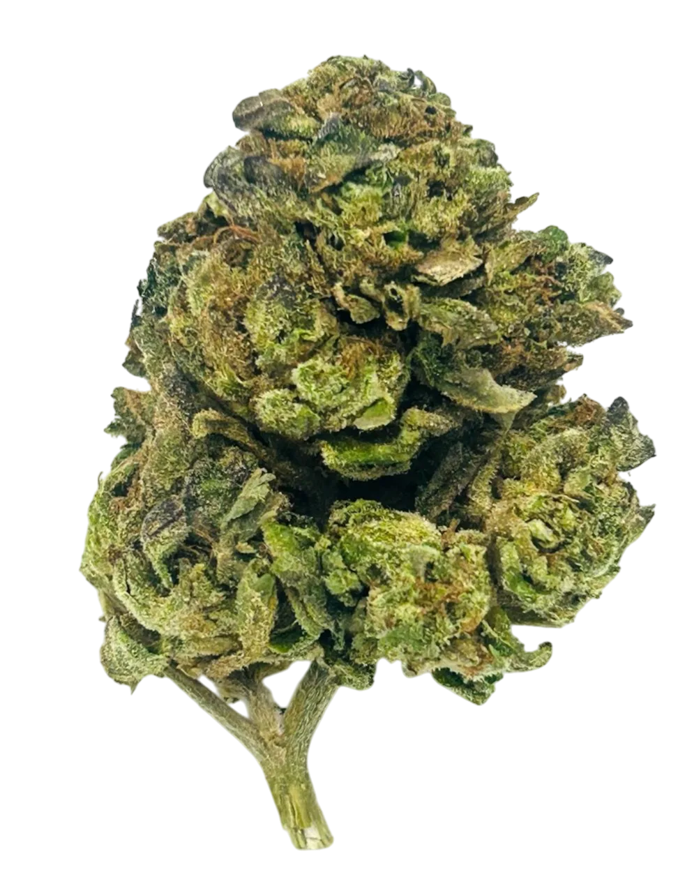 Walter White