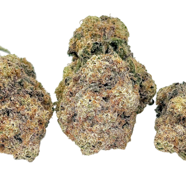 Purple Berry 1