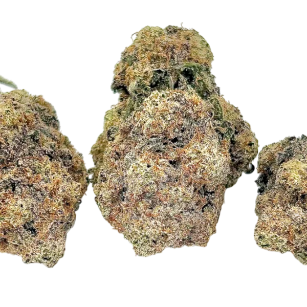 Purple Berry 1