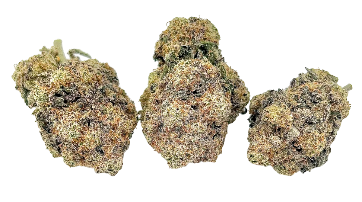 Purple Berry 1