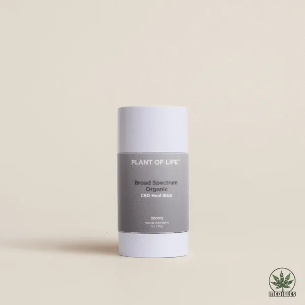 Plant of Life CBD Heal Stick 300MG
