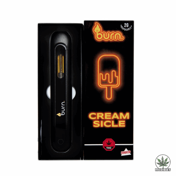 Burn 2G Disposable THC Vape
