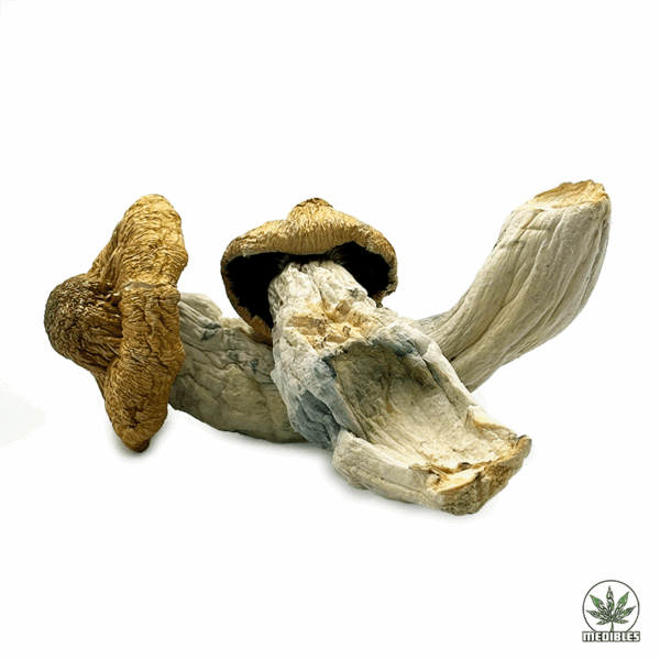 DC OG Magic Mushrooms