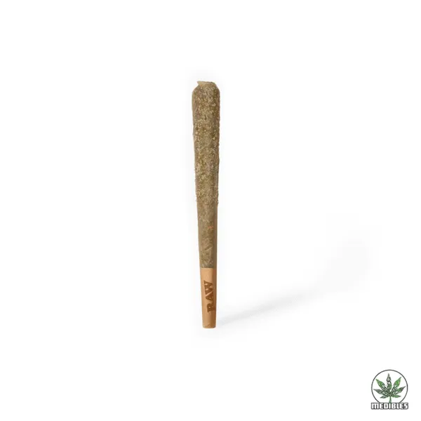 DRIZZLE FACTORY Rockets