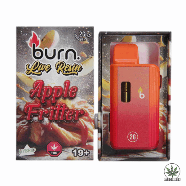 Burn 2G Disposable THC Live Resin Vape