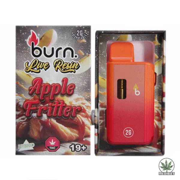 Burn 2G Disposable THC Live Resin Vape