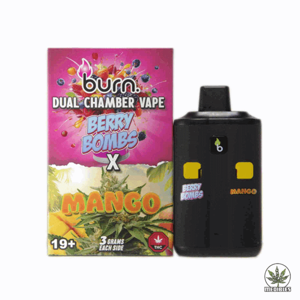 Burn Dual Chamber Vape 6G