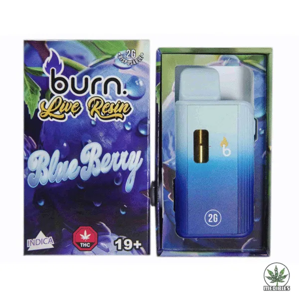 Burn 2G Disposable THC Live Resin Vape