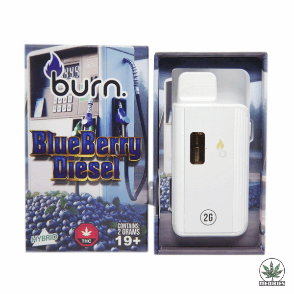 Burn 2G Disposable THC Vape
