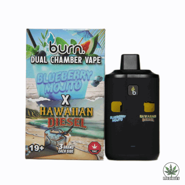 Burn Dual Chamber Vape 6G