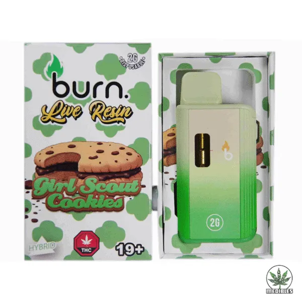Burn 2G Disposable THC Live Resin Vape