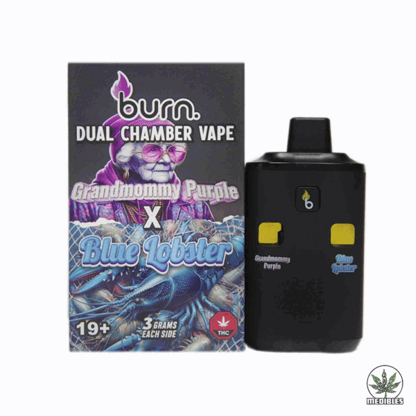 Burn Dual Chamber Vape 6G