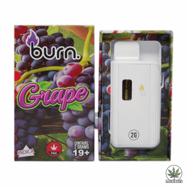 Burn 2G Disposable THC Vape