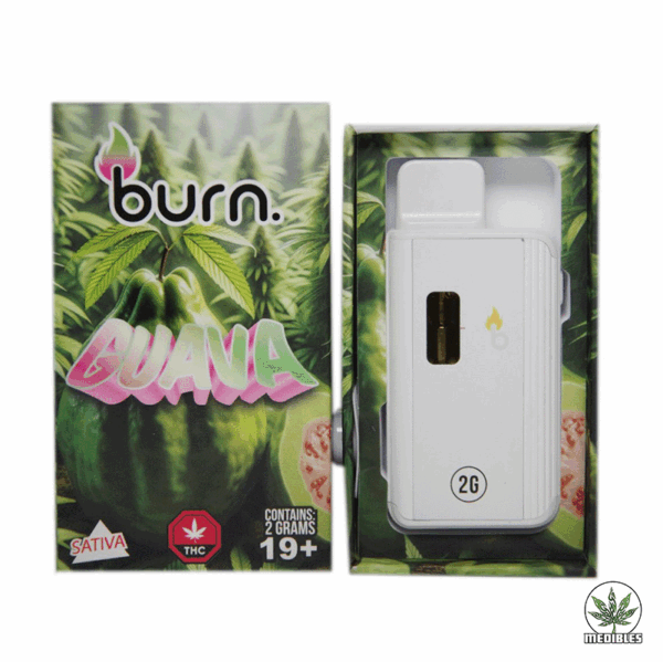 Burn 2G Disposable THC Vape