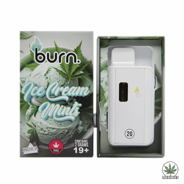 Burn 2G Disposable THC Vape