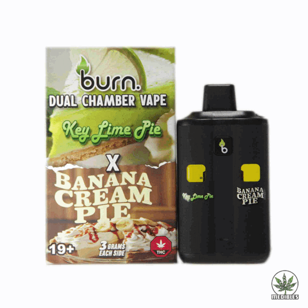Burn Dual Chamber Vape 6G