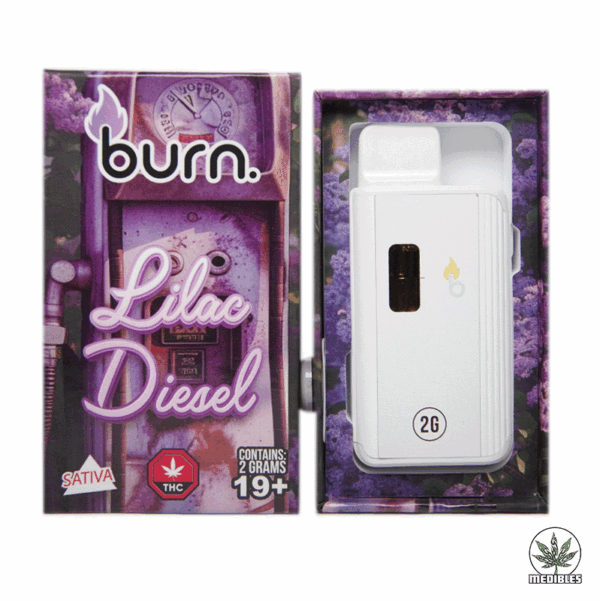 Burn 2G Disposable THC Vape