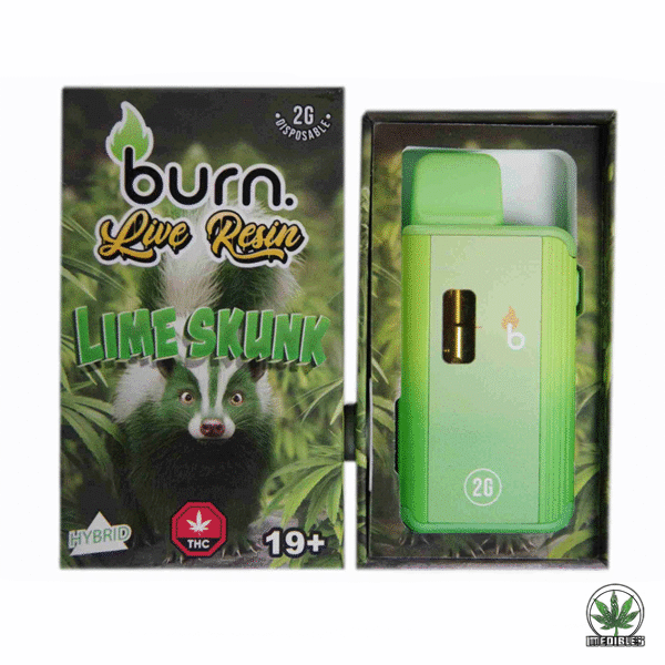Burn 2G Disposable THC Live Resin Vape