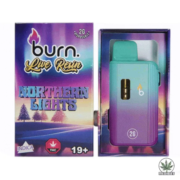 Burn 2G Disposable THC Live Resin Vape