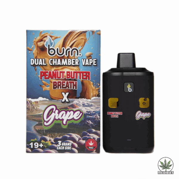Burn Dual Chamber Vape 6G