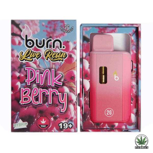 Burn 2G Disposable THC Live Resin Vape
