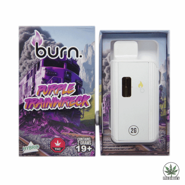 Burn 2G Disposable THC Vape