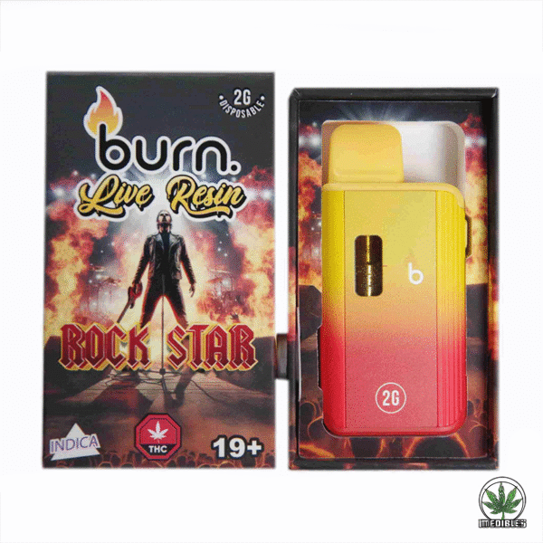 Burn 2G Disposable THC Live Resin Vape