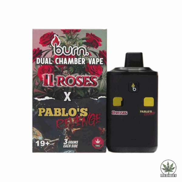 Burn Dual Chamber Vape 6G