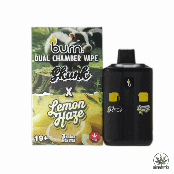 Burn Dual Chamber Vape 6G