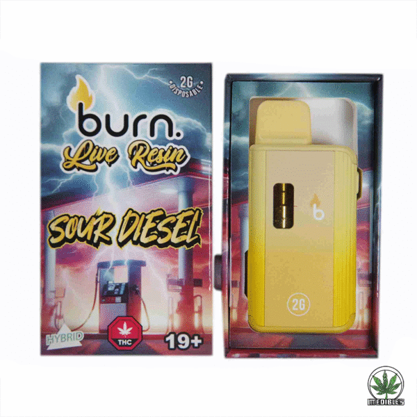 Burn 2G Disposable THC Live Resin Vape