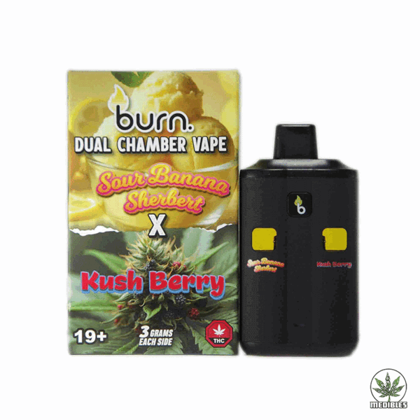 Burn Dual Chamber Vape 6G