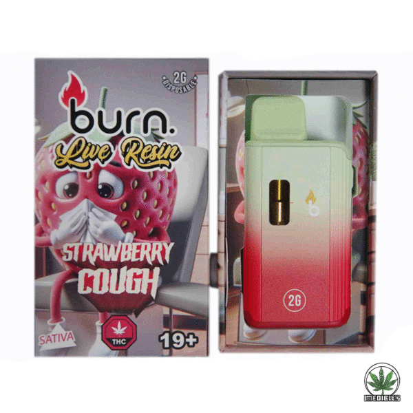 Burn 2G Disposable THC Live Resin Vape