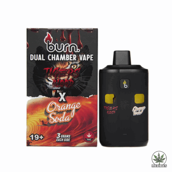 Burn Dual Chamber Vape 6G