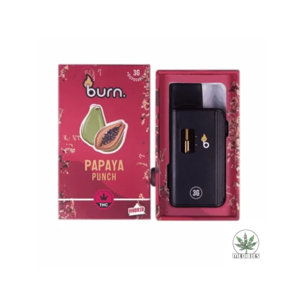 Burn 3G Disposable Vape Papaya Punch