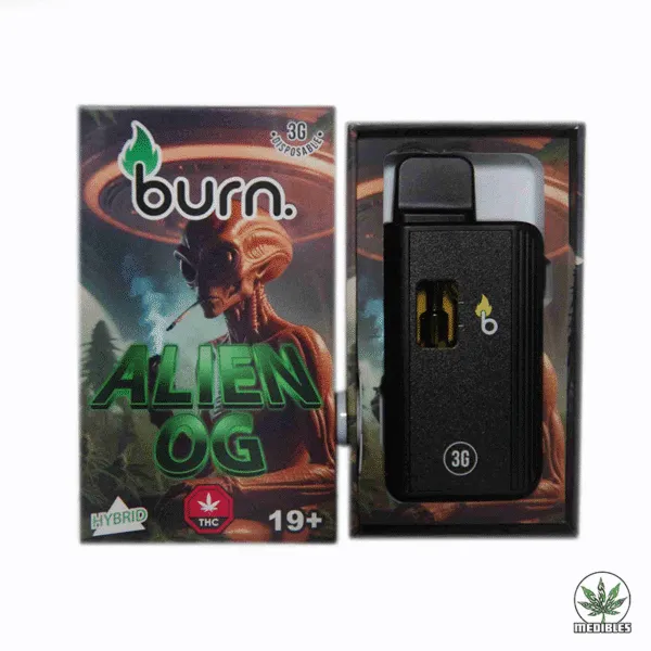 Burn 3g THC Disposable Vape