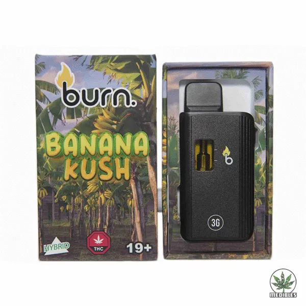 Burn 3g THC Disposable Vape