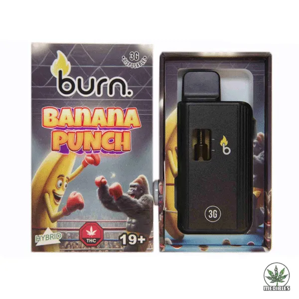 Burn 3g THC Disposable Vape