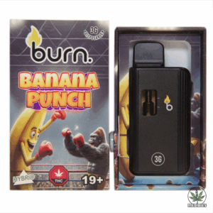 Burn 3g THC Disposable Vape
