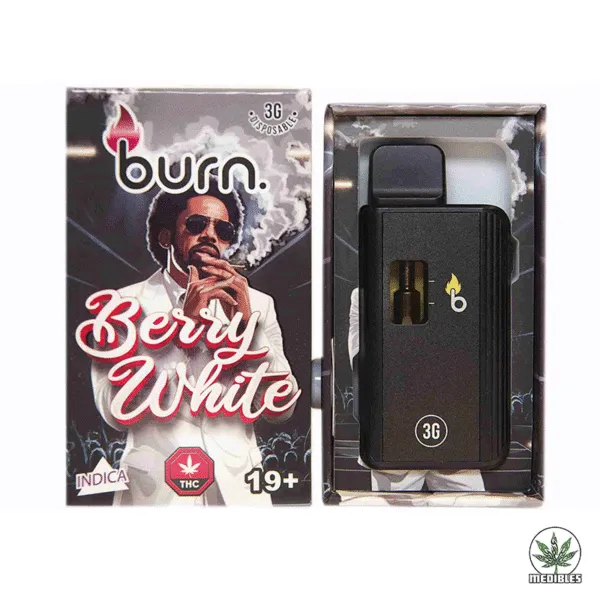 Burn 3g THC Disposable Vape