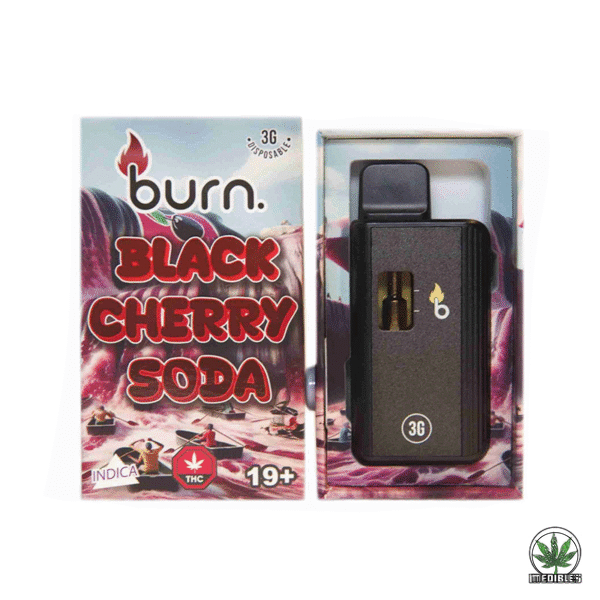 Burn 3g THC Disposable Vape