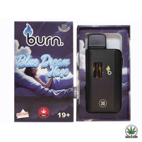 Burn 3g THC Disposable Vape