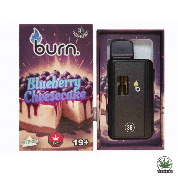 Burn 3g THC Disposable Vape