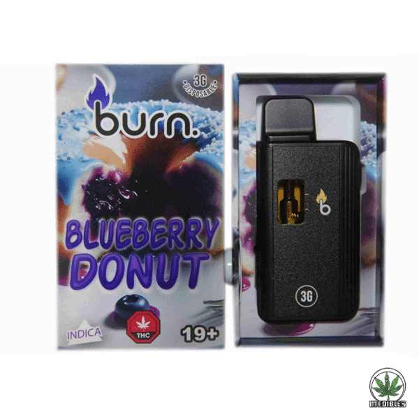 Burn 3g THC Disposable Vape
