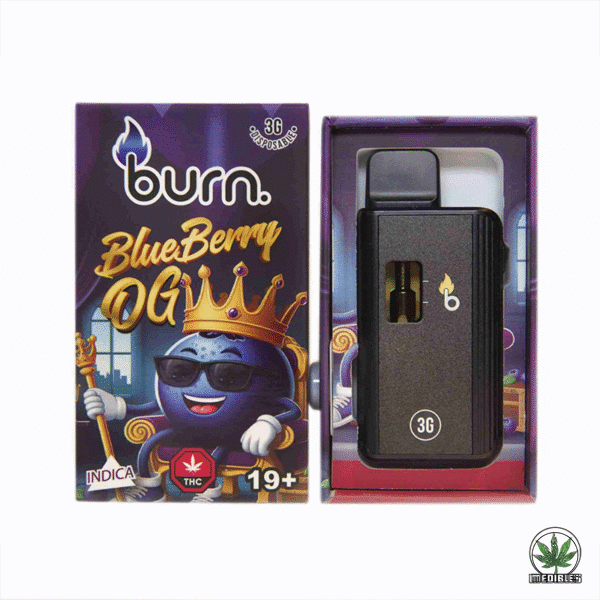 Burn 3g THC Disposable Vape